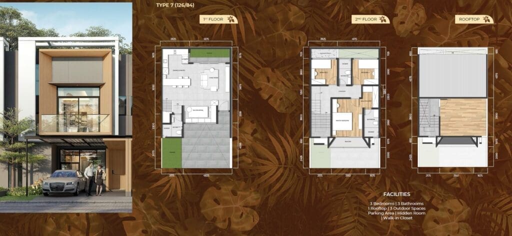 Layout Chava Tanakayu