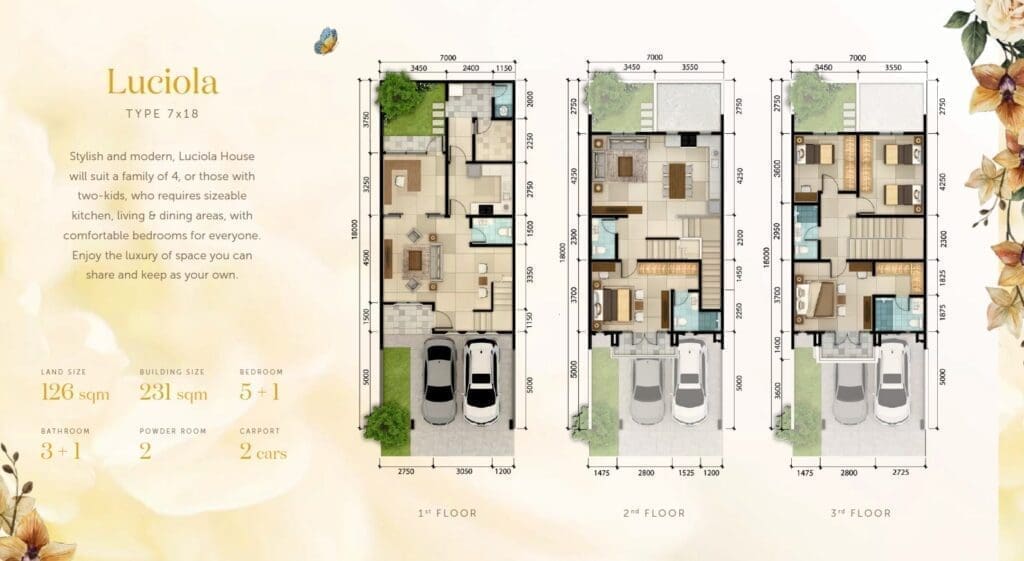 Luciola Sutera Winona