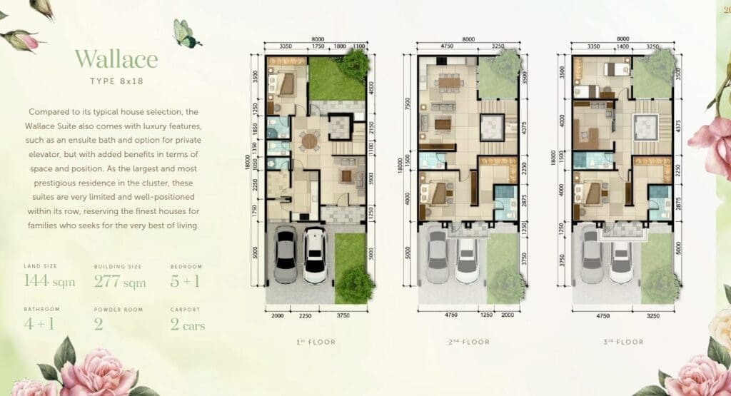 Wallace Sutera Winona