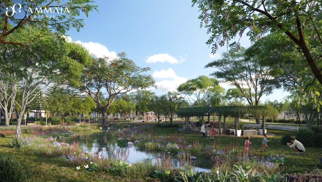 Read more about the article Ammaia Ecoforest by Astra Land
